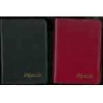 ΑΤΖΕΝΤΑ ΜΙΝΙ 5.6Χ6