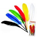 ΦΤΕΡΑ INDIAN ΜΕΓΑΛΑ 27-30ΕΚ 12τεμ.