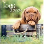 ΗΜΕΡΟΛΟΓΙΟ ΤΟΙΧΟΥ (KORSCH VERLAG) ΔΙΑΦΟΡΑ ΣΧΕΔΙΑ