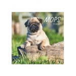 ΗΜΕΡΟΛΟΓΙΟ ΤΟΙΧΟΥ (KORSCH VERLAG) ΔΙΑΦΟΡΑ ΣΧΕΔΙΑ