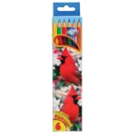 ΞΥΛΟΜΠΟΓΙΕΣ/ 6 ΤΕΜ. CENTRUM