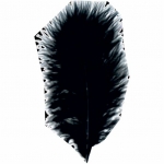 ΠΟΥΠΟΥΛΑ 10-12CM /17ΤEM MARABOU ΜΑΥΡΑ