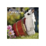 ΗΜΕΡΟΛΟΓΙΟ ΤΟΙΧΟΥ (KORSCH VERLAG) ΔΙΑΦΟΡΑ ΣΧΕΔΙΑ