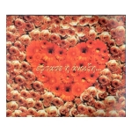 Έφτασε η άνοιξη (διπλό CD)