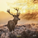 ΗΜΕΡΟΛΟΓΙΟ ΤΟΙΧΟΥ (KORSCH VERLAG) ΔΙΑΦΟΡΑ ΣΧΕΔΙΑ