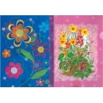 ΖΕΛΑΤΙΝΕΣ Γ ΠΑΙΔΙΚΕΣ ΔΙΑΦΟΡΑ ΣΧΕΔΙΑ