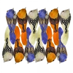 ΠΟΥΛΙΑ ΧΡΩΜΑΤΙΣΤΑ 9x3cm