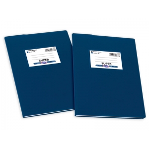 ΕΞΗΓΗΣΕΙΣ SKAG ΜΠΛΕ 17Χ25 70ΓΡ ΡΙΓΕ Φ50  0013450